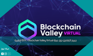 جميع التفاصيل حول عملة BVV / Blockchain Valley Virtual الرقمية