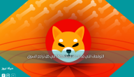 التوقعات التي قد تحدث لعملة Shiba في ظل تراجع السوق