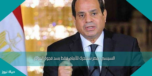 السيسي: مصر ستتحرك للأمام فقط بسد فجوة الدولار