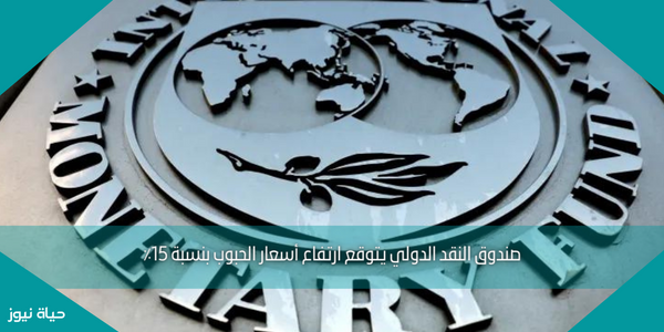 صندوق النقد الدولي يتوقع ارتفاع أسعار الحبوب بنسبة 15٪