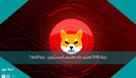 عملة SHIB تهيمن على اهتمام المستثمرين .. فما القصة؟
