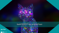 جميع التفاصيل عن عملة GOLDCAT الرقمية