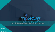 أهم التفاصيل عن عملة MOF الرقمية وهل هي حلال أم حرام؟