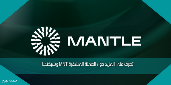 تعرف على المزيد حول العملة المشفرة MNT وشبكتها