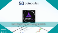 كل التفاصيل التي تود معرفته عن عملة Ethera X الرقمية