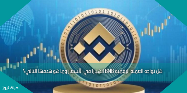 هل تواجه العملة الرقمية BNB انهيارا في الأسعار وما هو هدفها التالي؟